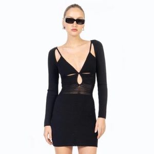 Ronny Kobo Rivera Cutout Knit Bodycon Dress